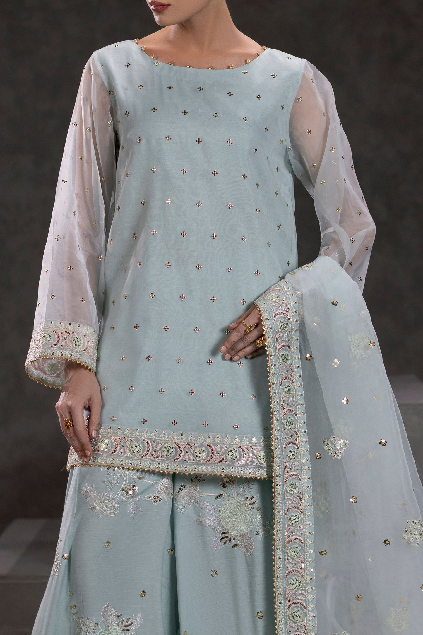 Ice Blue Embroidered Organza Suit – view 4