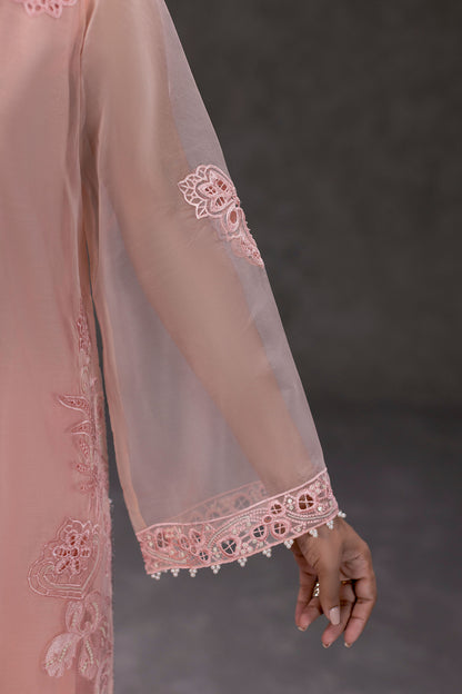 Peach Embroidered Organza Suit – view 3