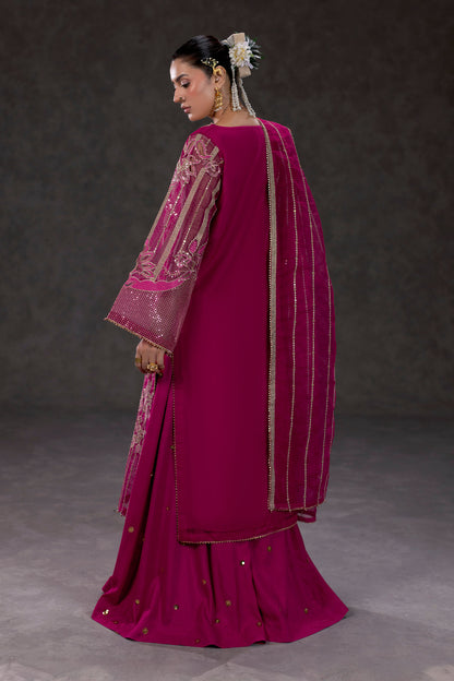 Fuchsia Embroidered Organza Suit – view 2