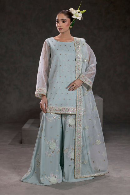 Ice Blue Embroidered Organza Suit