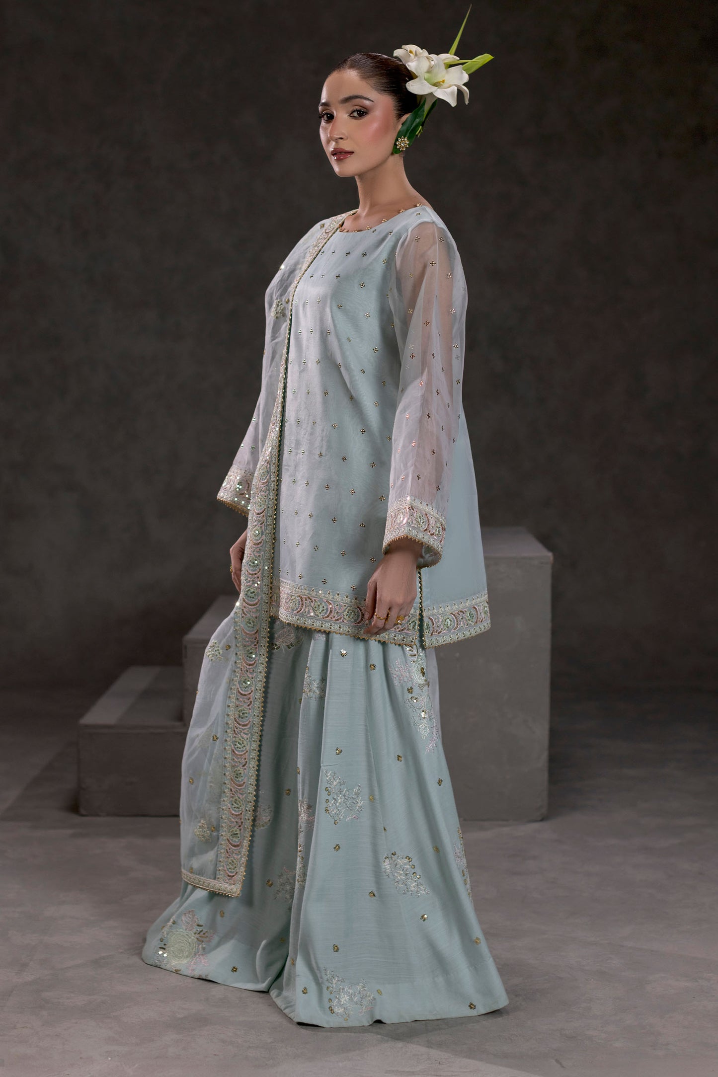 Ice Blue Embroidered Organza Suit – view 1