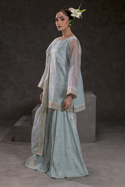 Ice Blue Embroidered Organza Suit – view 1
