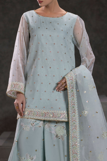 Ice Blue Embroidered Organza Suit – view 4